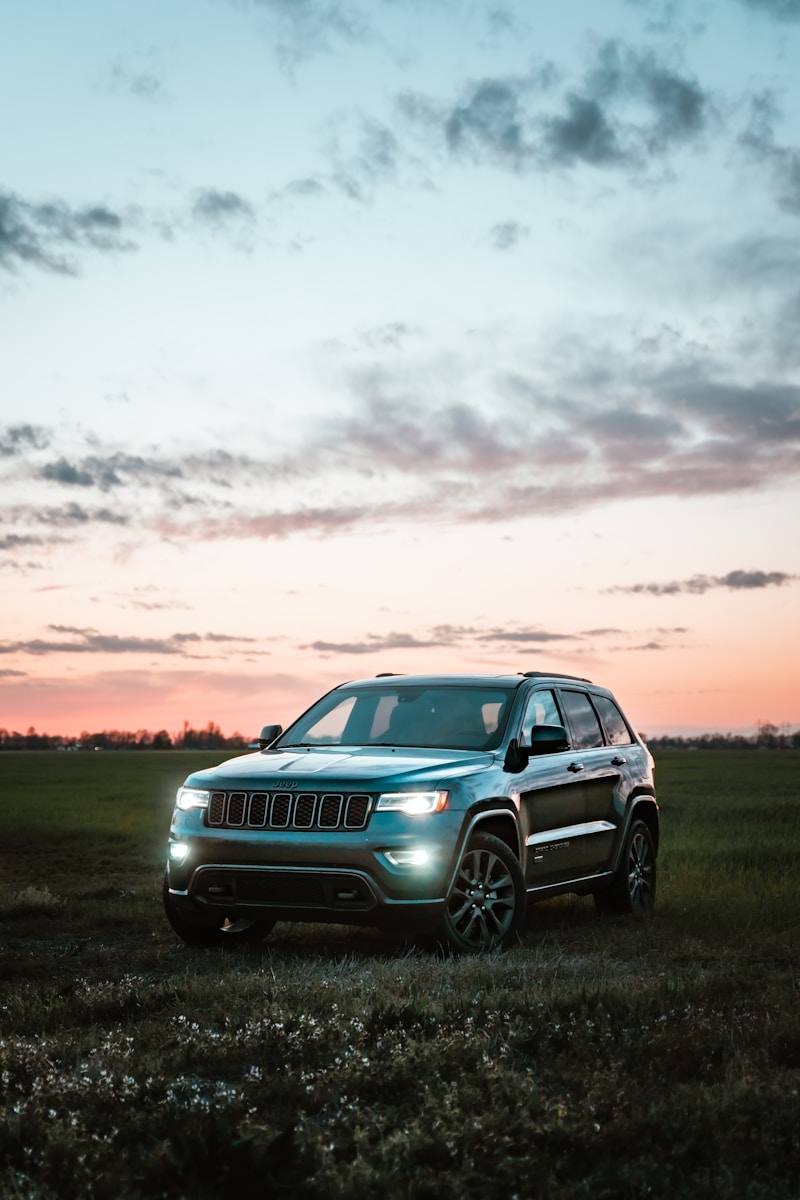 gray bmw x 6 with auto insurance on green grass field during sunset